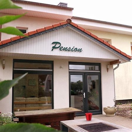 Pension " Zu Den Linden" Trin Trinwillershagen Kültér fotó
